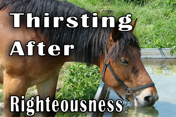 horsethirsting